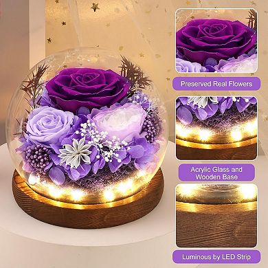 Preserved Flowers Birthday Mother's Day Gift