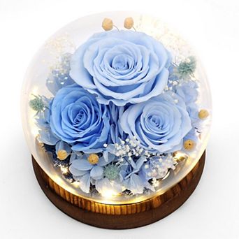 Preserved Flowers Birthday Mother's Day Gift