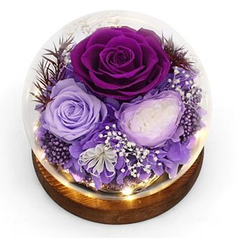 Preserved Flowers Birthday Mother's Day Gift