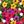 Multicolor