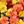 Yellow Orange