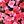 Deep Pink