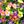 Mix Color