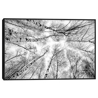 Masterpiece Through the Birch Trees Framed Wall Art