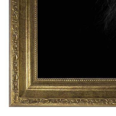 Masterpiece Mujambi Lion Framed Wall Art