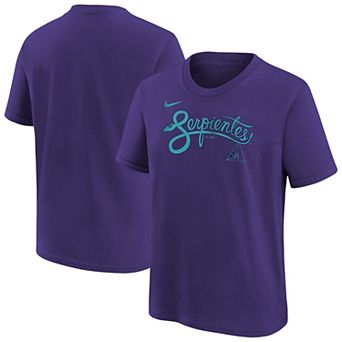 Youth Nike Purple Arizona Diamondbacks City Connect Wordmark T-Shirt