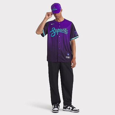 Men's Nike Purple Arizona Diamondbacks 2025 City Connect Rise Swoosh Performance Flex Hat