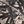Dark Khaki Nature Camo