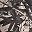 Dark Khaki Nature Camo