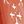 Coral Gloss