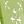 Key Lime Gloss