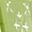 Key Lime Gloss