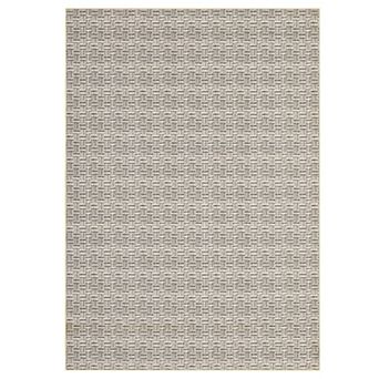 Contemporary Area Rug Machine Washable Low Pile Stain Resistant Carpet for Dining Room Bathroom