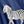 Navy Blue Zebra