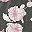 Dark Grey Pink Flower