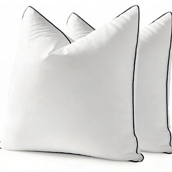 Goose Feather Down 20x20 Pillow Insert Set of 2 with Down-Proof Cotton Cover, Decorative Pillow