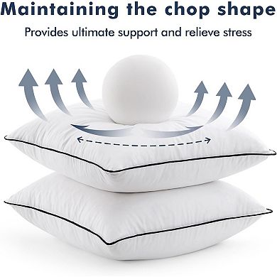 Goose Feather Down 20x20 Pillow Insert Set of 2 with Down-Proof Cotton Cover, Decorative Pillow