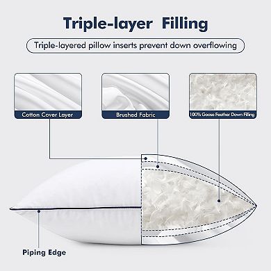 Goose Feather Down 20x20 Pillow Insert Set of 2 with Down-Proof Cotton Cover, Decorative Pillow