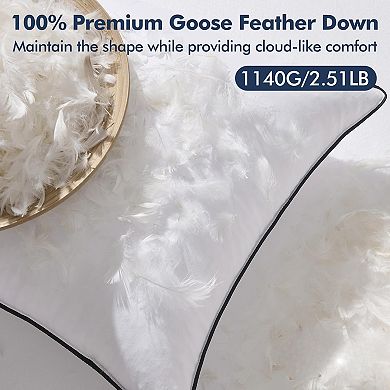 Goose Feather Down 20x20 Pillow Insert Set of 2 with Down-Proof Cotton Cover, Decorative Pillow