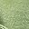 Bean Green