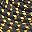 Black Gold