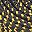 Black Gold