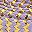 Purple Gold