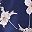 Navy Blue Black