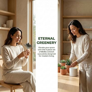 5 Pcs Realistic Artificial Air Plants 2.8" Mini Faux Tillandsia Bromeliad Flocked Soft PE Greenery