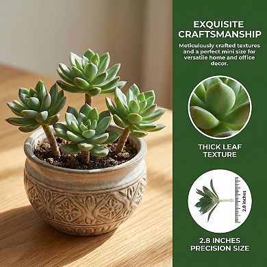 5 Pcs Realistic Artificial Air Plants 2.8" Mini Faux Tillandsia Bromeliad Flocked Soft PE Greenery