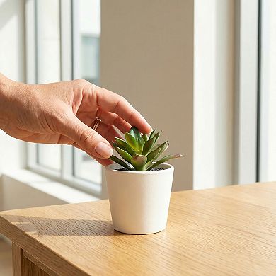 5 Pcs Realistic Artificial Air Plants 2.8" Mini Faux Tillandsia Bromeliad Flocked Soft PE Greenery