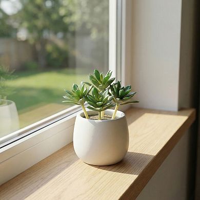 5 Pcs Realistic Artificial Air Plants 2.8" Mini Faux Tillandsia Bromeliad Flocked Soft PE Greenery