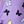 White Light Purple