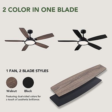 Moooni 52" Black Ceiling Fan with Light Dimmable Indoor/Outdoor Ceiling Fan with Remote Control