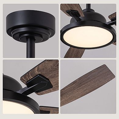Moooni 52" Black Ceiling Fan with Light Dimmable Indoor/Outdoor Ceiling Fan with Remote Control