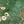 Black Green Floral