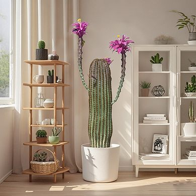 Artificial Cactus,Faux Cactus,Realistic Fake Cactus Plant,Tall Fake Plant With Planter For Home