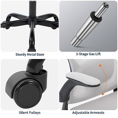 ANIXOL Ergonomic Mesh Office Chair with Adjustable Lumbar & Flip-Up Arms