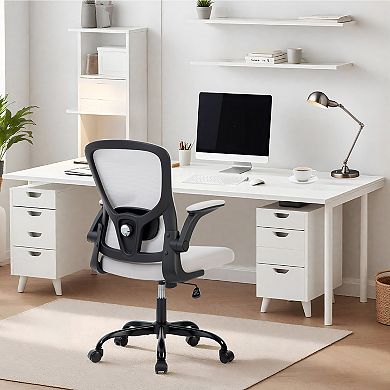 ANIXOL Ergonomic Mesh Office Chair with Adjustable Lumbar & Flip-Up Arms