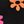Black Flower