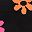 Black Flower