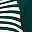 Dark Green White