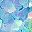 Blue Star