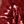 Red Sequins