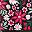 Blk Tight Floral