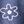 Blue Daisy