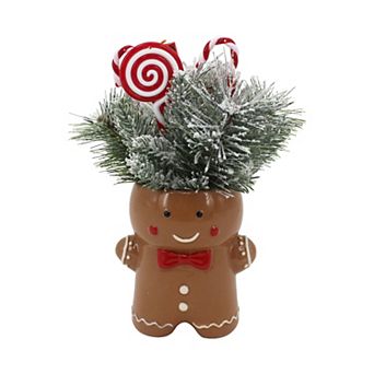 St. Nicholas Square® Flocked Evergreen Needle Arrangement in Gingerbread Vase