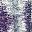 Grey Purple