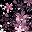 Cherry Blossoms