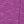 Rose Purple
